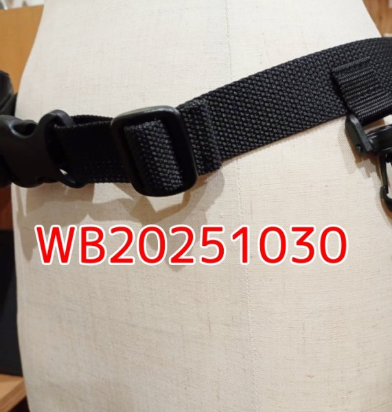 画像1: WB20251030 (1)