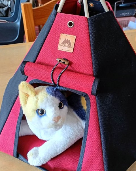 画像1: NT20260331 (1)