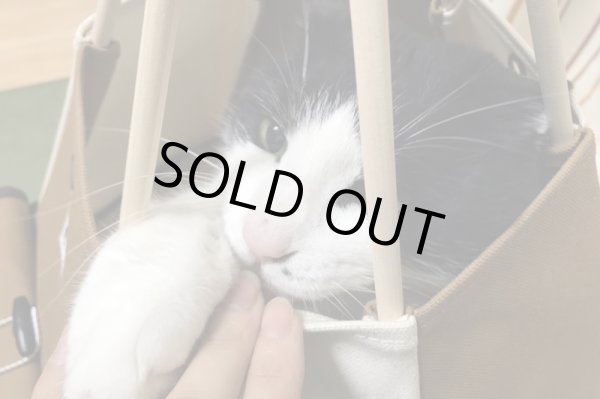 写真のネコは約7kg、コイヌテントがジャストサイズ