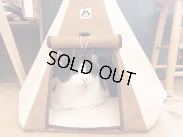 写真のネコは約7kg、コイヌテントがジャストサイズ